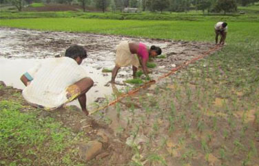 Improved Agriculture Practices